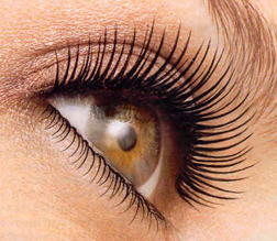 Lengthen those lashes Lengthen those lashes