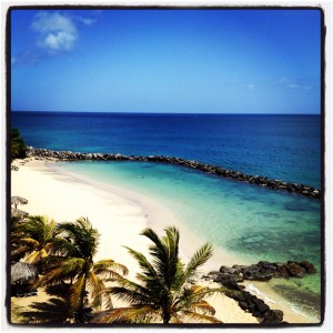 Pink Gin Beach La Source Grenada