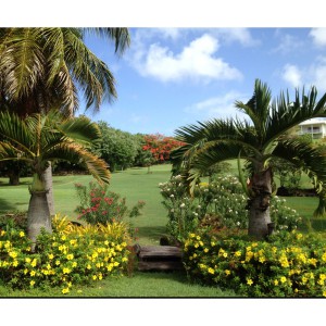 The golf course in the gardens of La Source Grenada