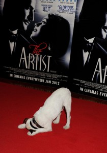 Uggie The Dog takes a bow at The Artist Premiere