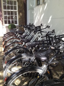 Bikes lined up at the hotel entrance