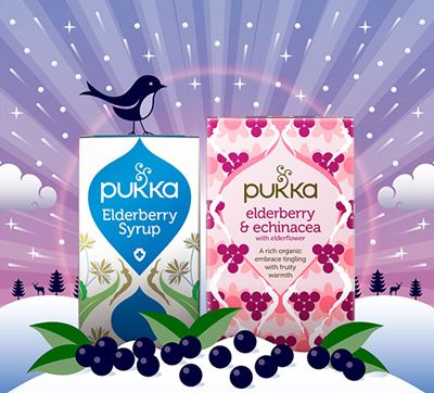 PUKKA HERB’S FOR WINTER WELLNESS