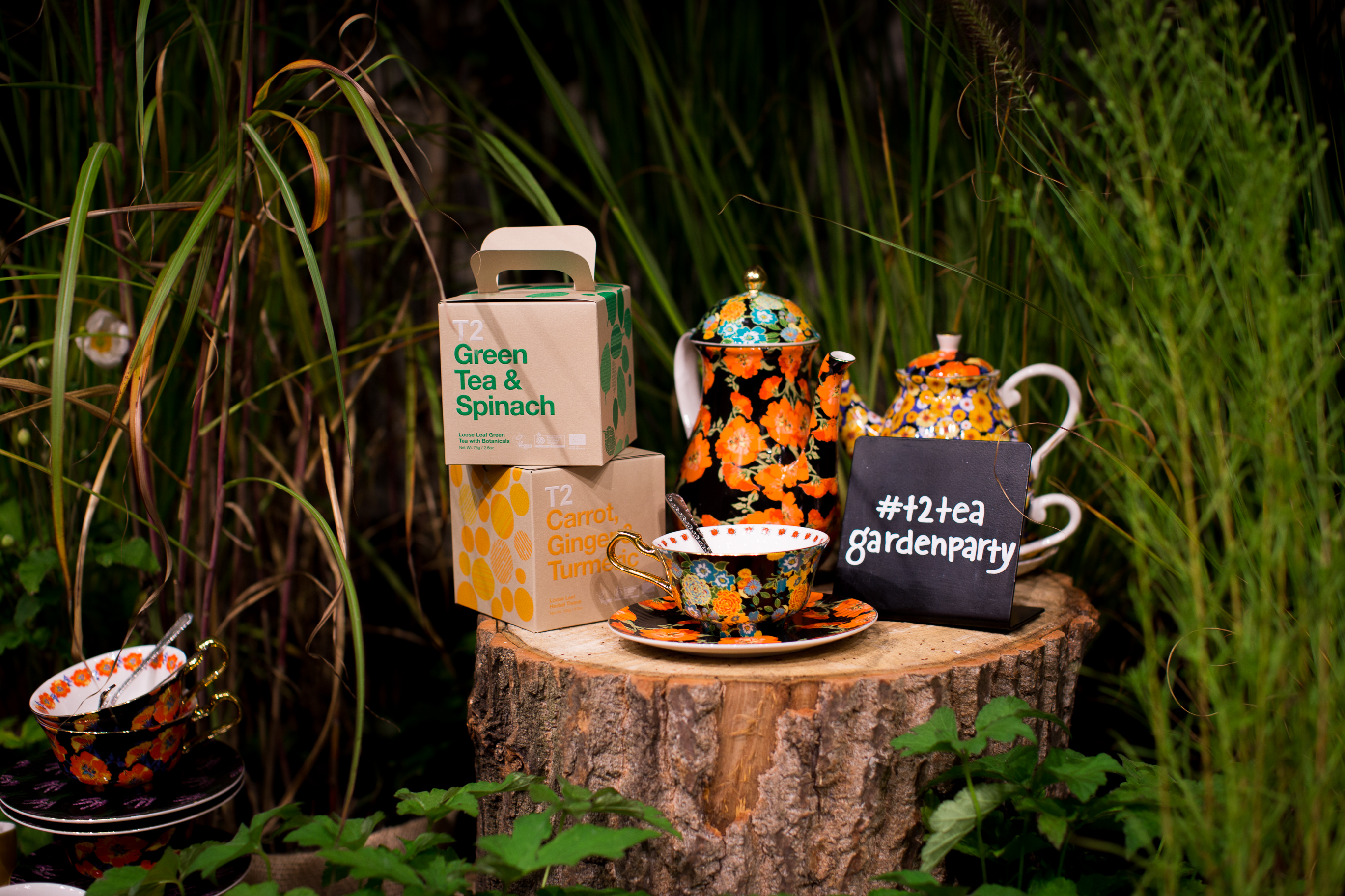 NEW T2 AUTUMN TEA COLLECTION